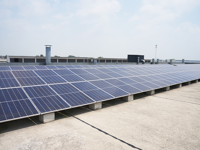 Société du Jiangsu Utilisation de l'énergie verte de l'électricité